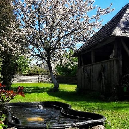 Hotel Viesu Nams Klanas Engure Esterno foto